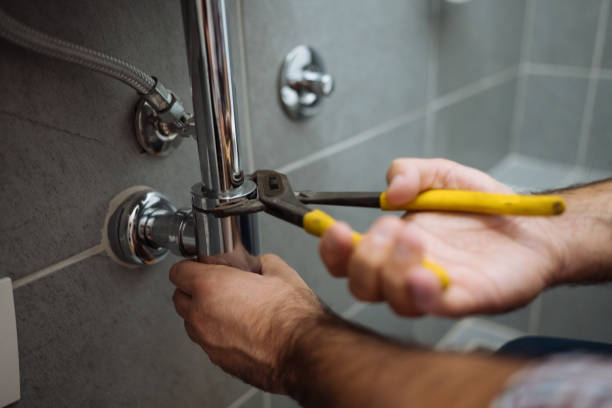 Best Plumbing Services Near Me  in Homestead, PA