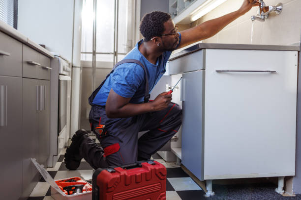 Best Commercial Plumbing Services  in Homestead, PA